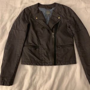 Gap moto quilted jacket